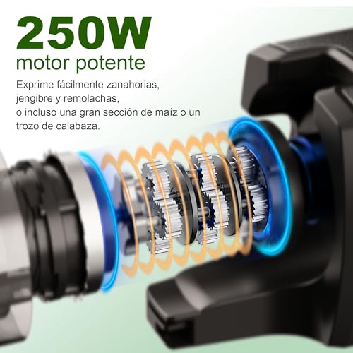 Fretta Exprimidor de Prensado en Frío, con Gran Apertura de 5.3 Pulgadas para introducir Verduras y Frutas Enteras, Capacidad de 1.6L, Diseño Fácil de Limpiar, Sin BPA - imagen 4