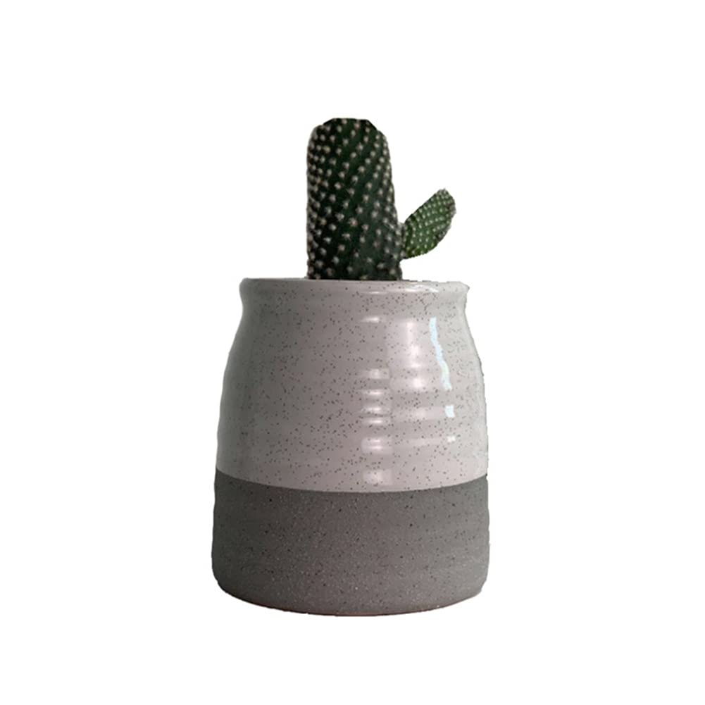 NTPHNB Creative Simplicity Ceramic Cactus Succulent Planter Pot Container Small (T)