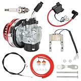 2 Stroke Carburetor with CDI Ignition Coil Magneto Kit for 2 Stroke Engine 37cc 39cc 49cc 50cc 66cc 80cc 100cc Motorized Bicycle Mini Pocket Bike Gas Motor Parts ATV Quad Chopper Red