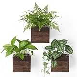 Dahey Small 4 Inch Wood Wall Hanging Planter Boxes for Indoor Plants 3 Pack Square Rustic Farmhouse Wall Mounted Flower Pot Vases with Plastic Liner for Flower Greenery Garden Home Centerpiece Decor