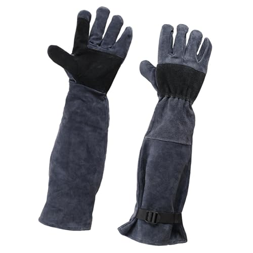 ϋv̍̂ɂybgp g[jO O[~O & bPAp A[t |GXe ̏ی