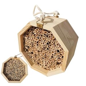 Generisch Holz Bienenhotel Nistplatz