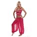 MissBellyDance Harem Pants & Halter Top Belly Dancer Costume Set | Sadiqa II (Fucshia/Gold, Medium) - CS12