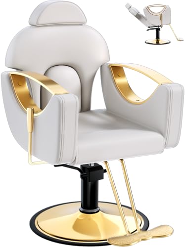 Salon Barber Chair for Hair Stylist, Professional Reclining Hydraulic Styling Chair with Heavy-Duty Pump, All Purpose Hairdresser Chair for Barbershop, Braiding, Shampoo, Spa Equipment, Light Gray