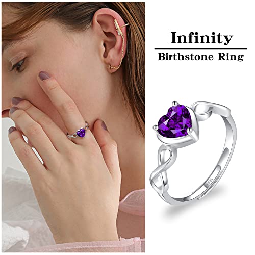 Shysnow Amethyst Birthstone February Ring For Women Infinity Promise Ring 925 Sterling Silver Adjustable Open Purple Heart Cubic Zirconia Dainty Simulated Gemstone Wedding Rings For Mothers #TOP2