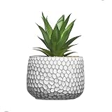 CADNLY Small Artificial Plants in Pots - Fake Plants for Bathroom Office Desk - Faux Succulents Plan