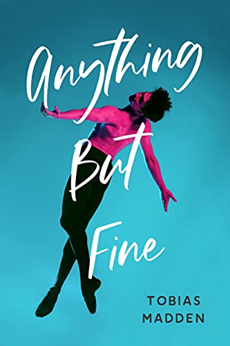 Anything But Fine (English Edition)