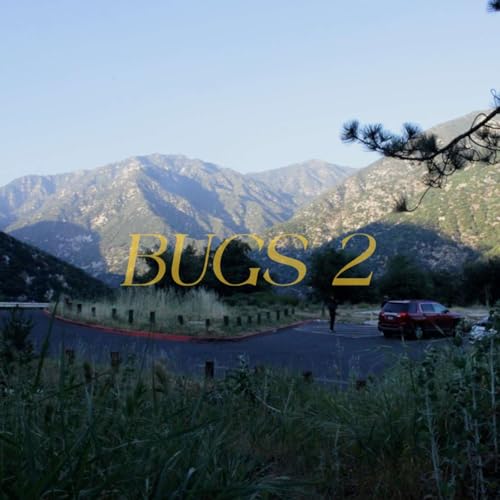 Bugs Pt 2