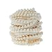 Yalulu 10 Yards Mini Pompons Haarball Ball Lace Spitze Trim Band für Kleidung DIY Fertigkeit und Dekorieren Nähen Zubehörteil (Beige) Pompons Deko günstig Kaufen-Yalulu 10 Yards Mini Pompons Haarball Ball Lace Spitze Trim Band für Kleidung DIY Fertigkeit und Dekorieren Nähen Zubehörteil (Beige)