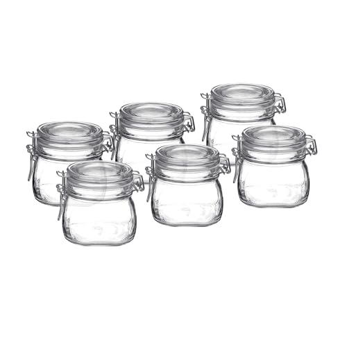 Bormioli Rocco Fido Clear Glass Jar with 85 mm Gasket,0.5 Liter (Pack of 6) (6 Items)