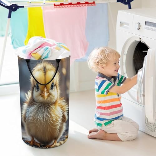 Panier à linge pliable idéal pour optimiser l'espace du dortoir