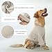 Aimydog Dog Recovery Sleeve with Elbow Protector, Recovery Suit for Dog Front Legs, Pet Long Sleeve Suit to Stop Licking, Soft Breathable Cone Collar Alternative for Male Female, Beige, L