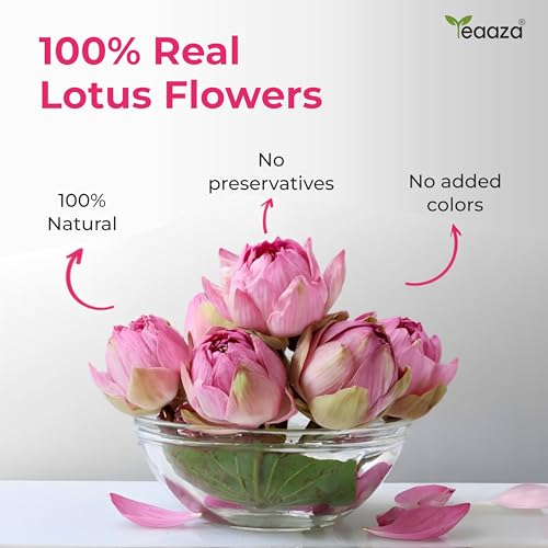 Image of Teaaza Lotus Flower Tea - 30g (60 Cups) | Herbal Caffeine-Free Detox Tea for Sleep & Relaxation | Reusable Pet Jar | Twice Steepable
