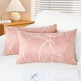 CaliTime Throw Pillow Covers Pack of 2 Modern Shining & Dull Contrast Circles Rings Accent Geometric Cushion Cases Shells for Couch Sofa Home Decor 12 X 20 Inches Dusty Pink