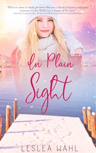In Plain Sight (Finding Faith Book 3)