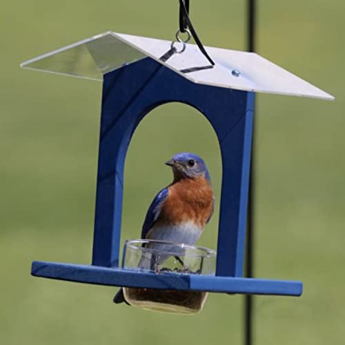 Backyard Essentials Bluebird Feeder, Blue Bird Joint, Wild Bird Feeder For Bird Seed Or Mealworms With Removable Glass Feeder Cup And Plexiglass Roof #TOP6