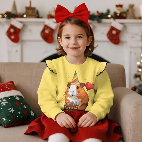 Sweatshirt for Toddler Girls Long Sleeve Sweatshirt for Baby Girl Crewneck T-shirt Blouse Sweatshirts Size 1-83