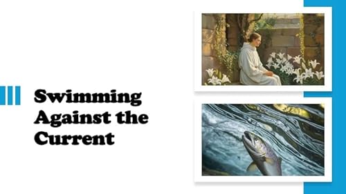 Episode 1404: Swimming Against the Current