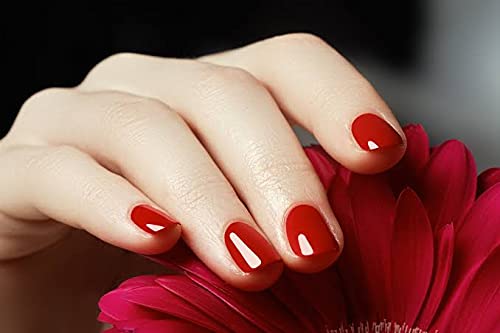 COSLIFESTORE 3-Piece 15ml Gel Base, Top Coat & Primer Set 3