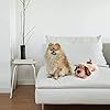 Puppy Anxiety Relief Aid Toy