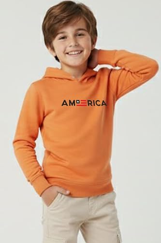 Image of Boys Hooded Sweatshirt, America Print, Cotton Blend, Long Sleeve, Navy Blue /Pink /Orange, Regular Fit