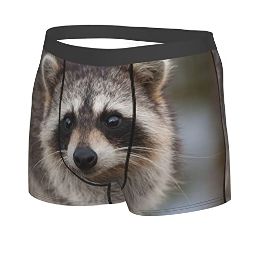 Raccoon Looking Directly Funny Boxer Briefs for Men, Underwear for Men2