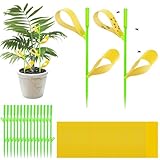 Micnaron Gnat Sticky Traps for Plants, 100PCS Yellow Sticky Traps for Plant Gnats Indoor and Outdoor White-Flies Mosquitoes Killer, 15PCS Stakes Holder Included