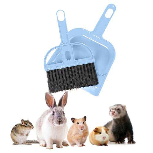 Mini Broom and Dustpan Set - Compact Cleaning Kit for Home, Car, Camping, Small Spaces, Pet Cleanup, and Travel - Durable Small Broom and Dustpan Set Mini - Sky Blue Broom