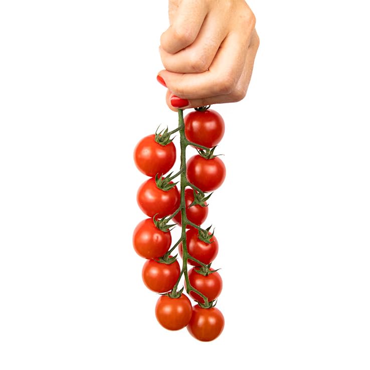 Tomate Cherry Juanita 0.8kg, La Parcela, Origen España, Andalucía (Costa Tropical), Comprar Tomate Cherry Fresco, De La Huerta A Tu Casa, Producto de Cooperativa Granada La Palma