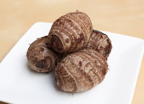 Tourant Root Amazon.com: Fresh Taro Root - 10 Pounds of Root, Premium Quality ...