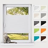 [𝑴𝒂𝒕𝒆𝒓𝒊𝒂𝒍 & 𝑷𝒇𝒍𝒆𝒈𝒆] 100% Polyester. Es ist geschmacksneutral, umweltfreundlich und leicht zu reinigen. Sie können das Plissee mit einer weichen Bürste abgebürsten oder mit einem feuchten Tuch abwischen. Das Plisseerollo kann auch in feuchter Umgebung benutzt werden, wie Badezimmer, Küche etc. Die weißen und beigen Plissees haben Crushed-Optik.