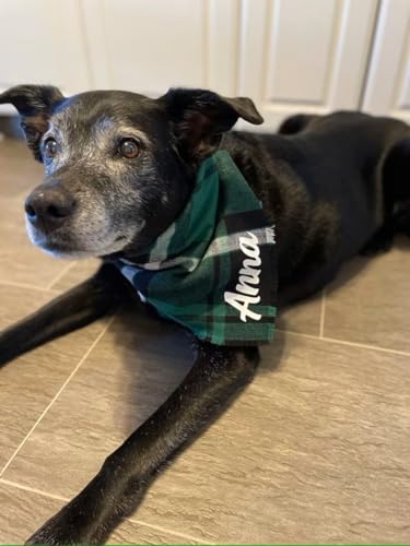Personalisiertes Hunde-Bandana, bestickter Name, benutzerdefinierte Halsbekleidung, Hundehalstücher mit Quasten, Kanten, kariert, Weihnachtsschal, Lätzchen, Halstuch, Halsbänder für kleine und