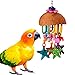 Super Bird Creations SB896 Seeing Stars Bird Toy, Small/Medium Bird Size, 9.5