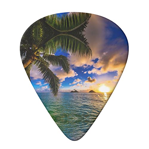 Lot de 6 médiators pour guitare acoustique, guitare électrique, basse, ukulélé Tropical Hawaii Palm Tree Ocean Sea… - Les Beatles, Paul McCartney, John Lennon, RIngo Starr, George Harrison Lot de 6 médiators pour guitare acoustique, guitare électrique, basse, ukulélé Tropical Hawaii Palm Tree Ocean Sea… – Image 4