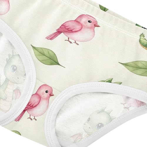 Cute Watercolor Dragons Birds Beige Panties Little Girl Girls Underwear Toddlers Cotton Stylish Underpants Briefs 2t4