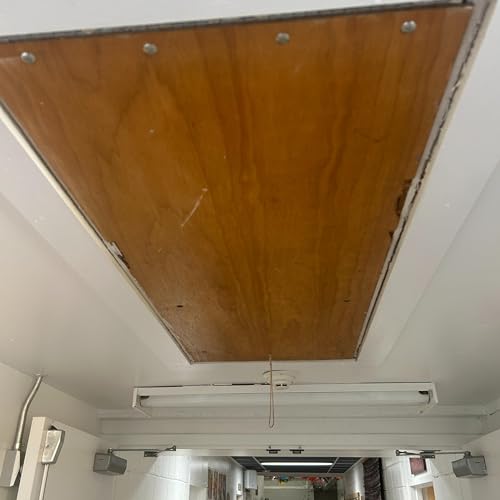 What's in the Attic?