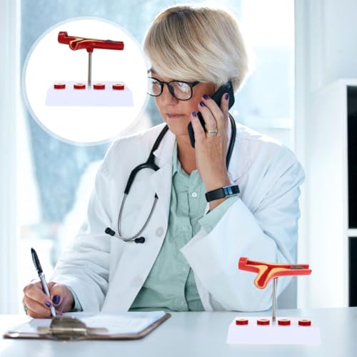 Image of Baluue Cardiovascular Model Human Blood Vessel Anatomy Medical Teaching Display 7.08X6.29X5.11 Inch PVC Educational Tool for Physiology and Medical Schools