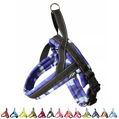 Hakusan(nNT) rbgn[lX (TCY1, u[J)