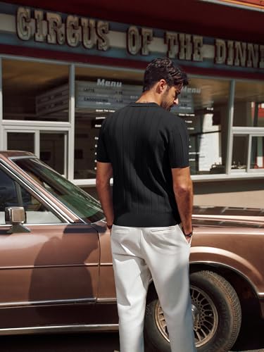 PJ PAUL JONES Men's Polo Shirt V Neck Texture Shirt Short Sleeve Casual Knit Polos4