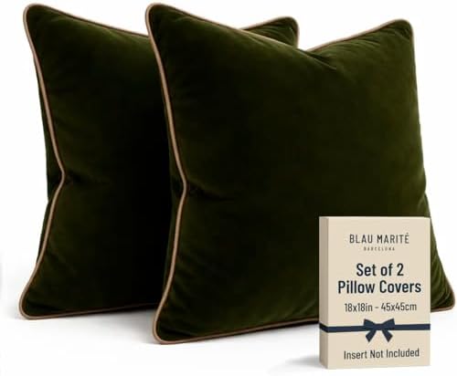 2 Pack Velvet Decorative Throw Pillow Covers, 18"x18", Green and ...