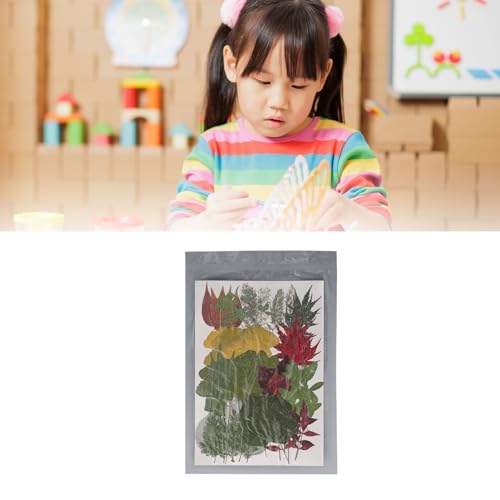 Flores Secas Prensadas para Resina, 90 Unidades de Decorações Florais Flores de Folhas Secas Prensad