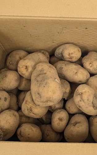 ベジタブルハート 訳あり お買得 じゃがいも 無農薬栽培 5kg前後 規格外 不揃い キズ