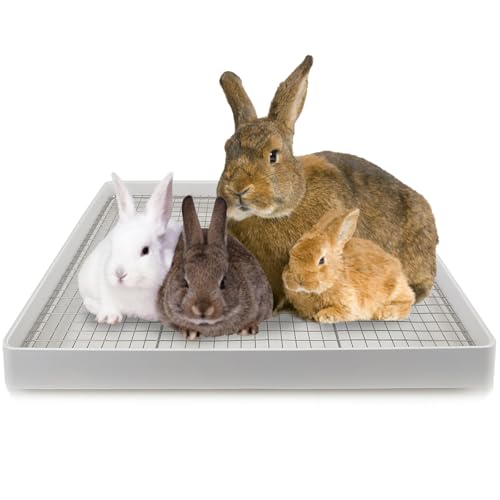 Oncpcare Bac à sable super grand de 55 x 45 cm avec 2 grilles (métal et plastique), bac à...