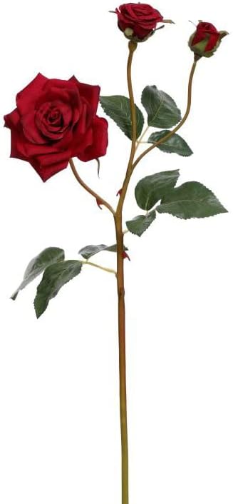 Mark Roberts Bundle of 12 Red Garden Roses with 3 Blooms 19.5" Set of 12