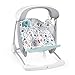 Fisher-Price Terrazzo Take Along Swing & Seat Hamaca Portátil Deluxe Plegable con Sonidos Y Vibraciones para Bebés 9Kg (Mattel Gpd12), 1 Unidad (Paquete de 1)