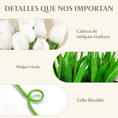 Listado de Tulipanes precio que puedes comprar esta semana. 8 Imagen adicional