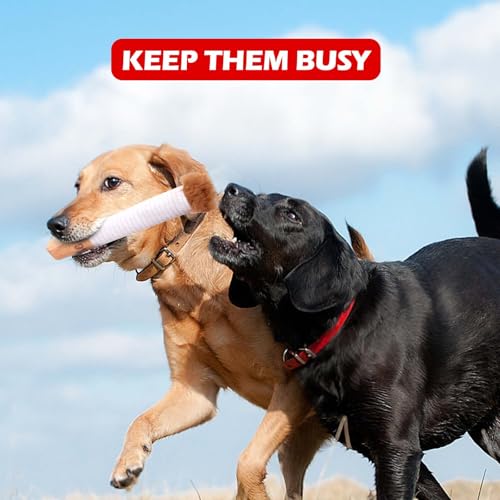 MOKIDO Hundespielzeug Zigarette, Zigarette Quietschend, Interaktives Dog Cigarette Toy, Hunde Zigaretten mit Einer Box, lustiges Kichern, Plüsch-Hundespielzeug für kleine, mittelgroße und große Hunde