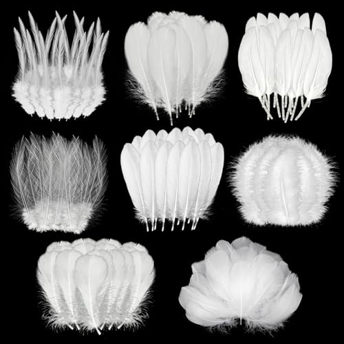 Molirex 300Pcs White Feathers for Crafts 8 Styles Pheasant Craft Feathers Goose Feathers for Crafting DIY Dream Catcher Hat Earrings Masks Wedding Home Party Decoration