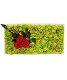 Quadro in lichene stabilizzato con tre rose stabilizzate rosse e con cornice bianca, altri colori disponibili specificandolo al momento dell'ordine.