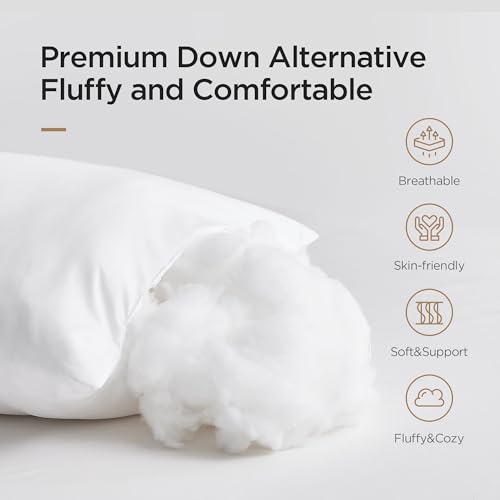 Acanva Alternative Throw Pillow Inserts, Fluffy Euro Sham Stuffer Cushion for Indoor Decorative, Sofa, Couch, Chair and Bed, 12x20 Inch (Pack of 2), White 2 Count